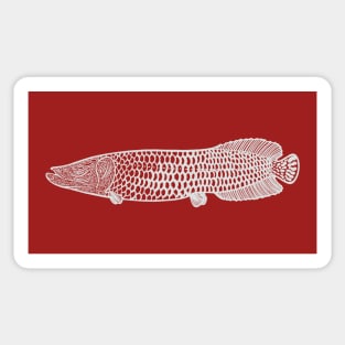Arapaima - detailed hand drawn fish design Sticker